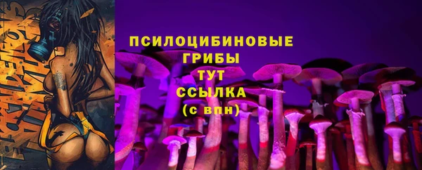 каннабис Осташков