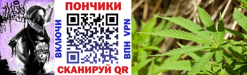 Купить закладки Калининск Бошки марихуана ГИДРОПОН